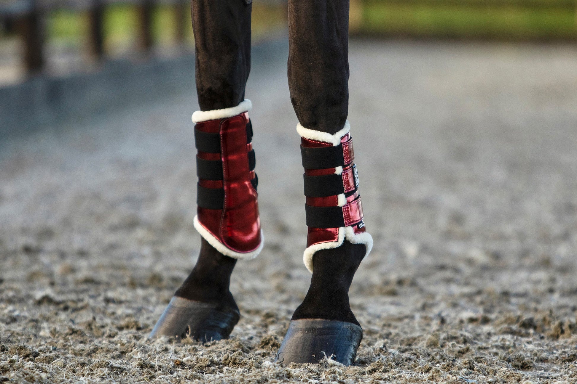 Electric Red Saddle Pad Set