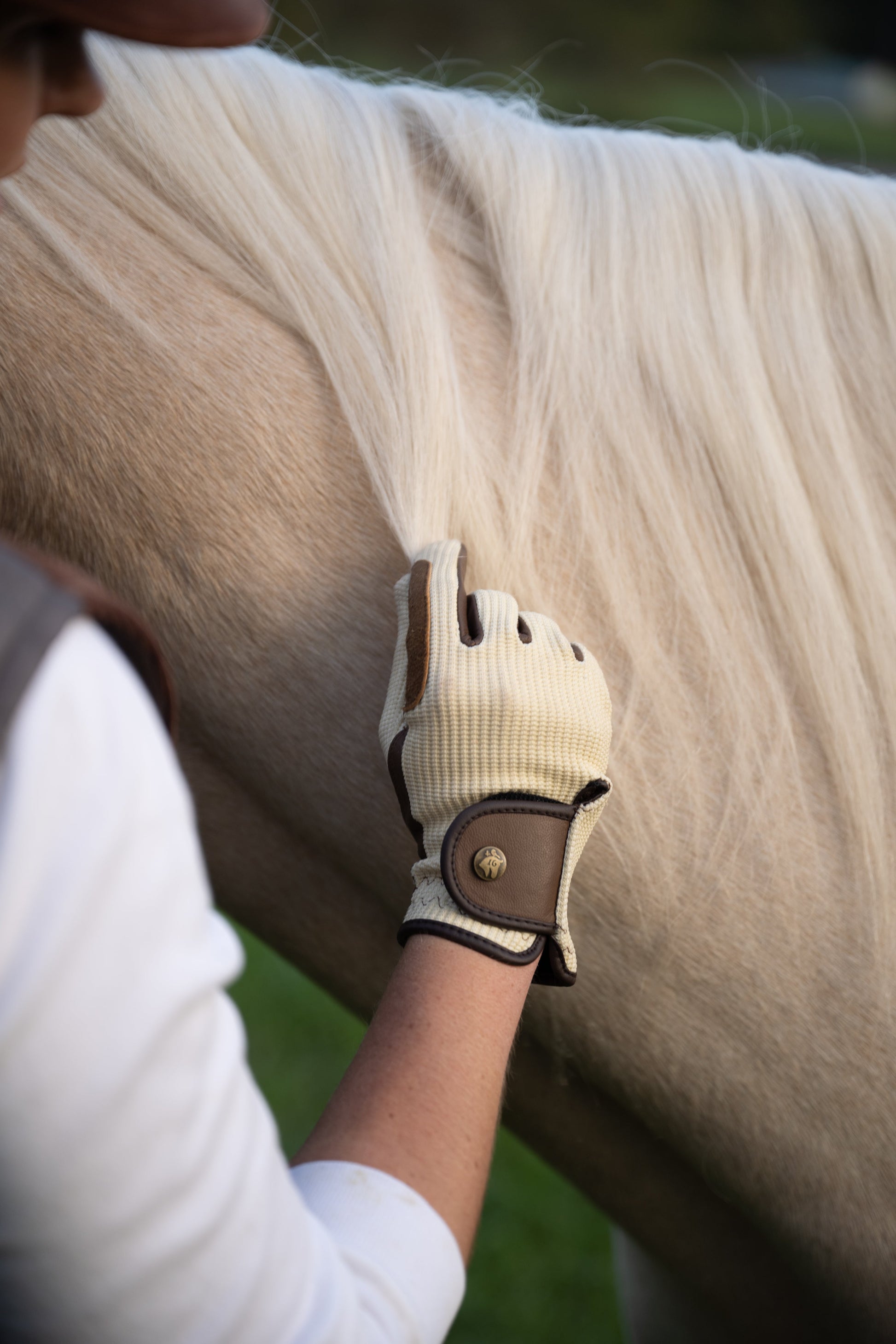 Riding Gloves, Ivory & Cognac
