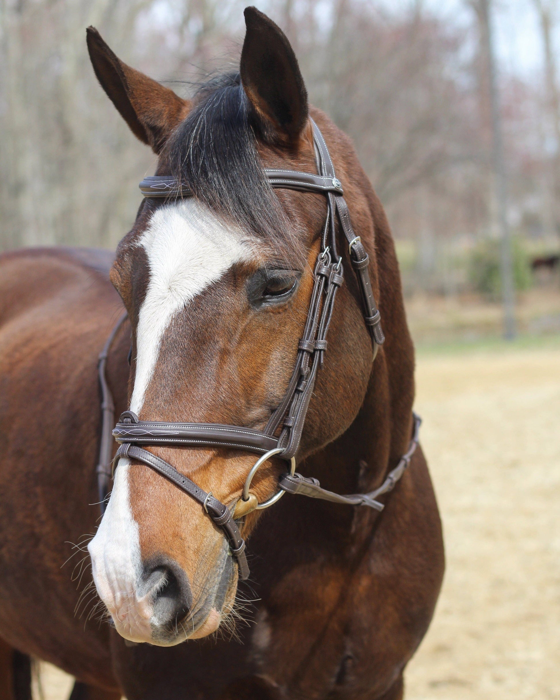 Henri de Rivel Kushy Mono Crown Bridle – Padded Leather with Detachable Flash & Fancy Stitching