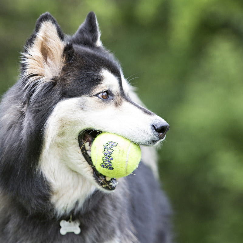 Kong SqueakAir Tennis Balls (2-3pck)