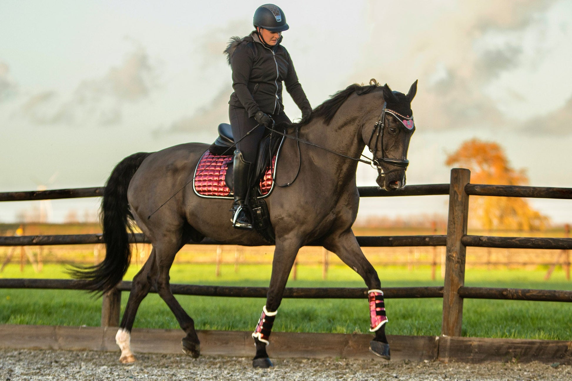 Electric Red Saddle Pad Set