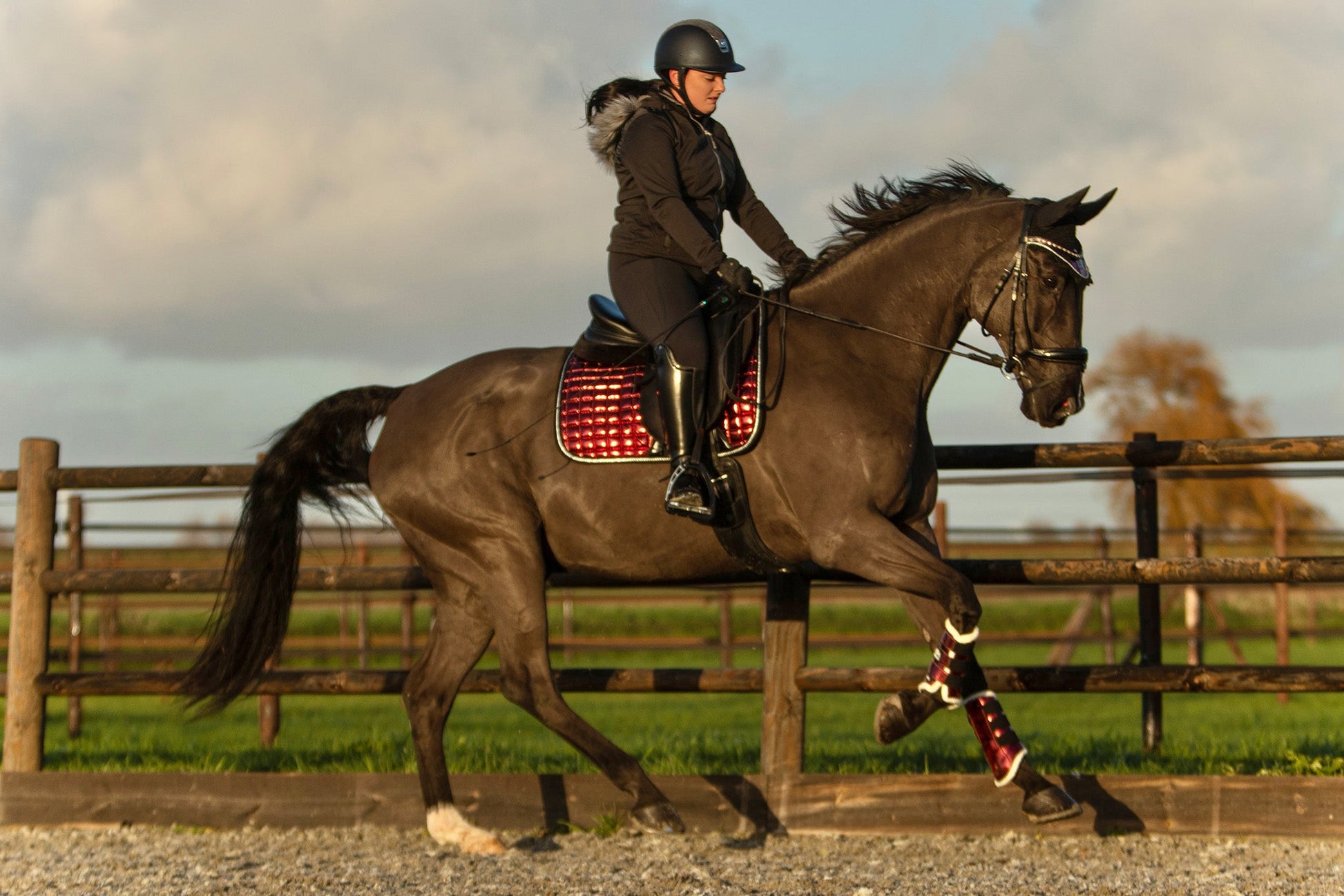 Electric Red Saddle Pad Set