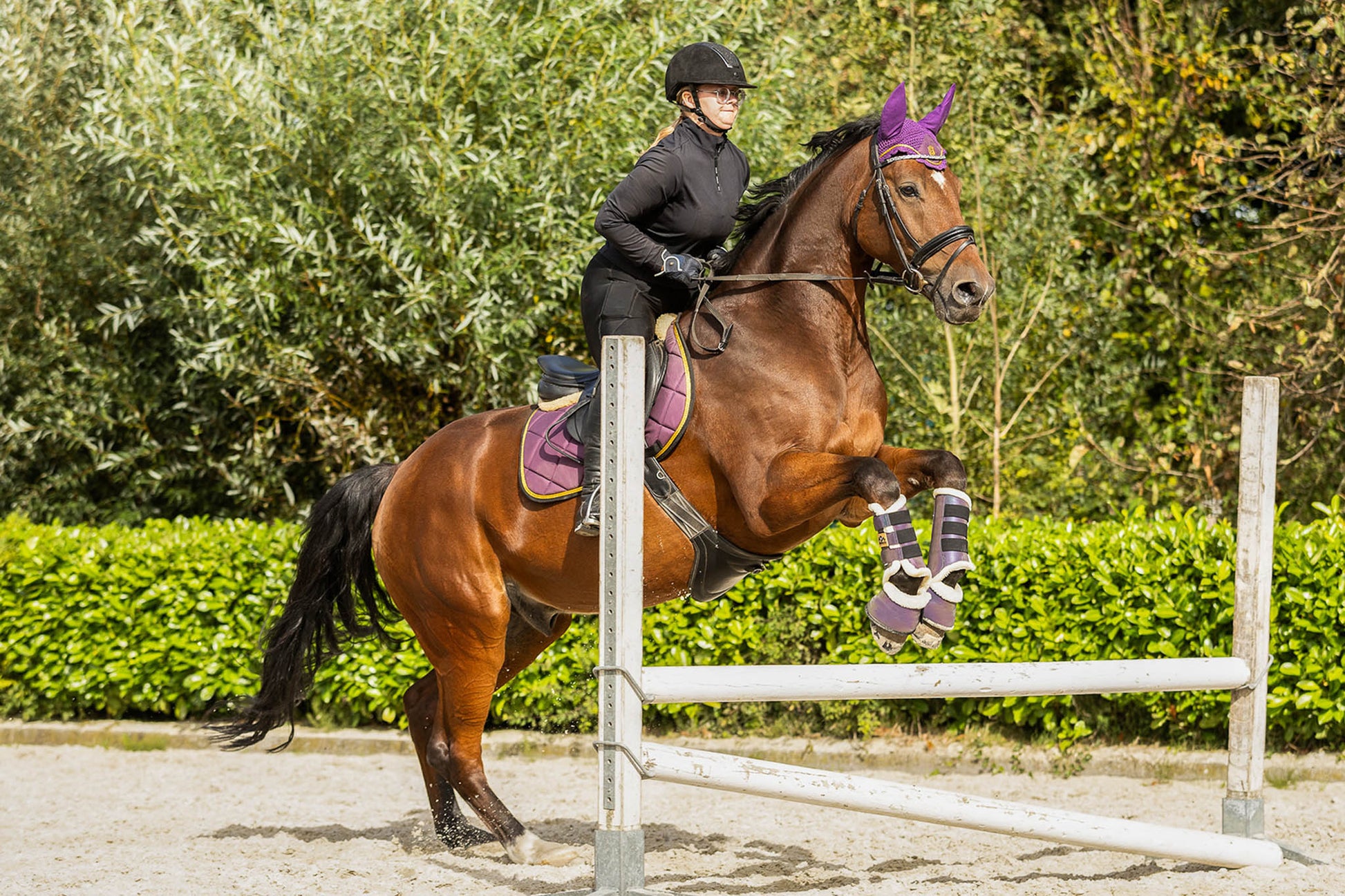 Dark Orchid Saddle Pad Set