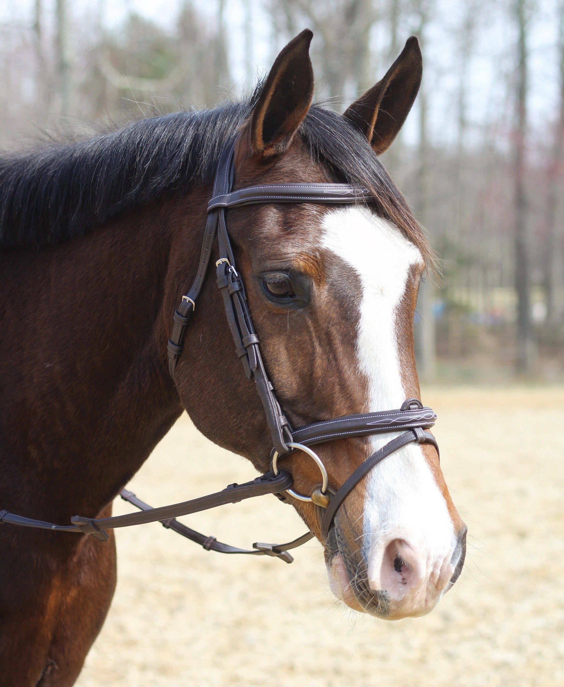 Henri de Rivel Kushy Mono Crown Bridle – Padded Leather with Detachable Flash & Fancy Stitching