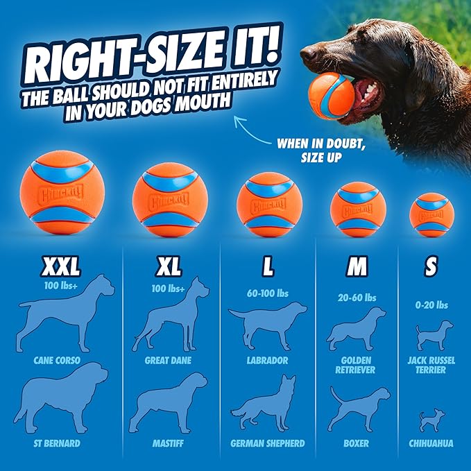 ChuckIt Dog Sport Launcher 14S