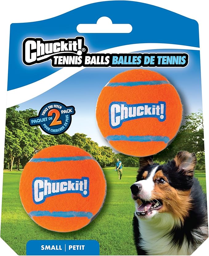 ChuckIt Dog Tennis Ball - 2 Pack