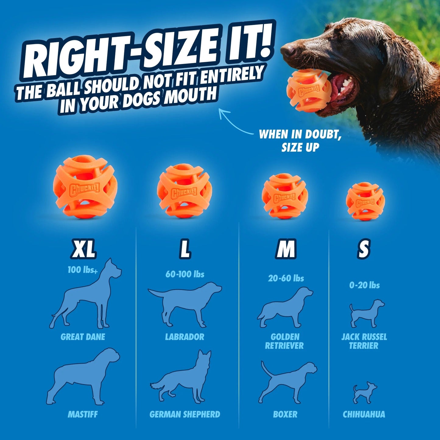 ChuckIt Dog Breathe Fetch Ball