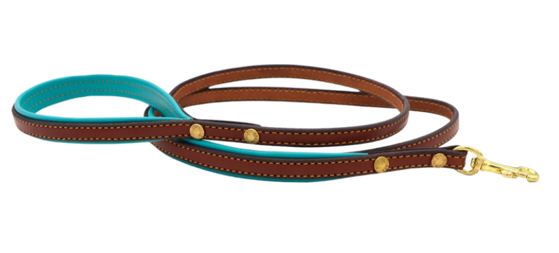 Padded Dog Leash