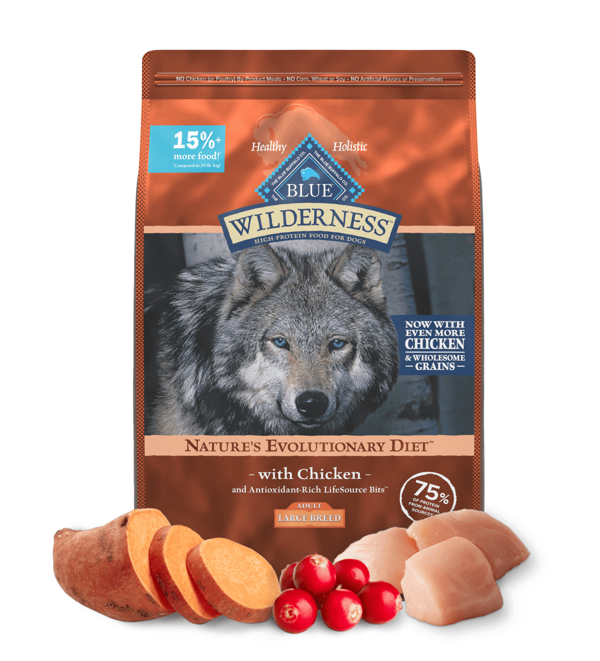 Blue Buffalo Wilderness Adult Large Breed Chicken with Wholesome Grains Dry Dog Food (24lb)