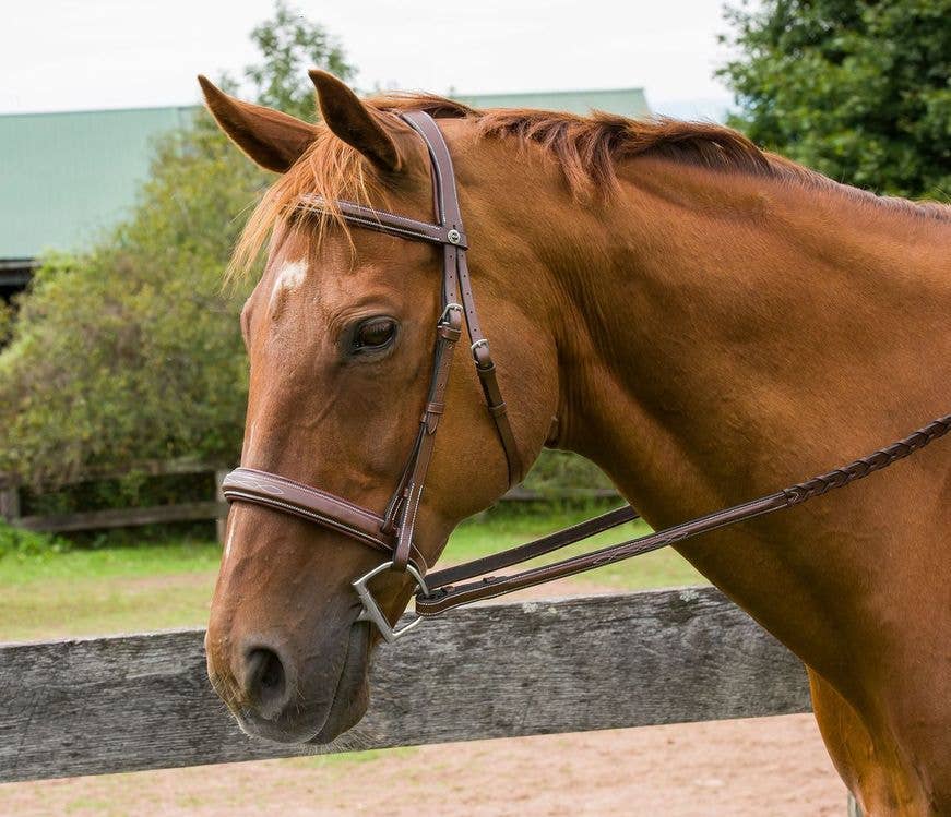Henri de Rivel Pro Mono Crown Bridle – Padded Wide Noseband with Fancy Stitching & Laced Reins