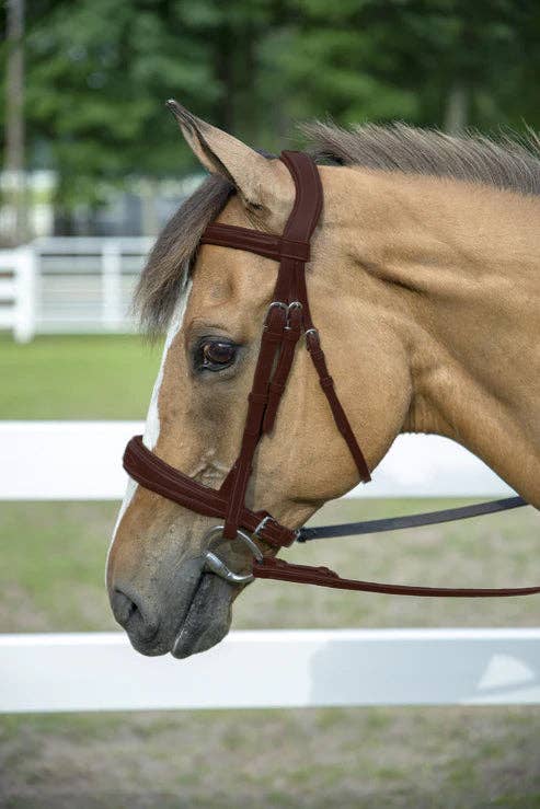 Henri de Rivel Pro Mono Crown Bridle with Padded Wide Noseband – Fancy Stitched Hunter Bridle with Laced Reins