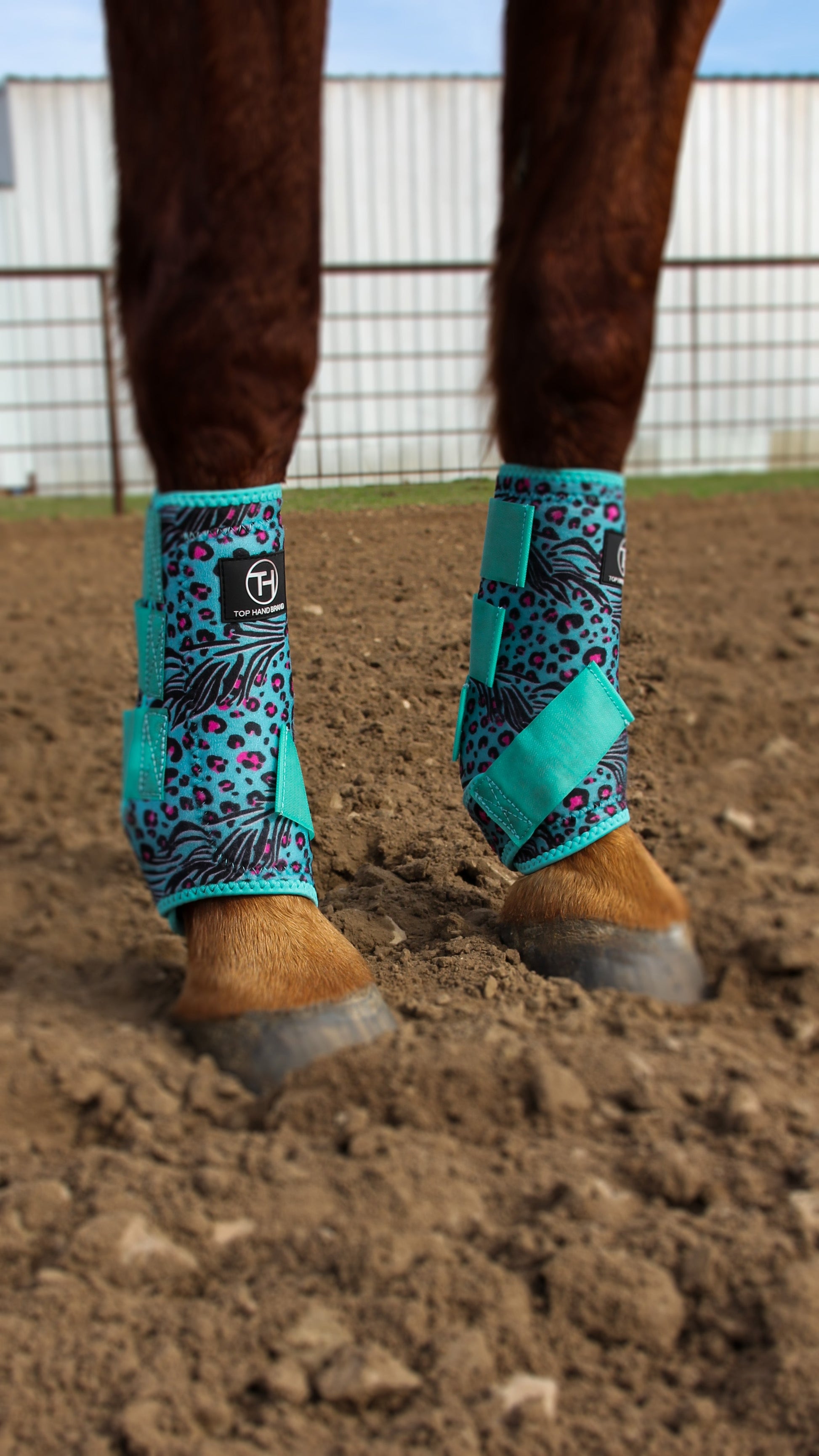 Wild Ride Mint Zebra Sport Boots