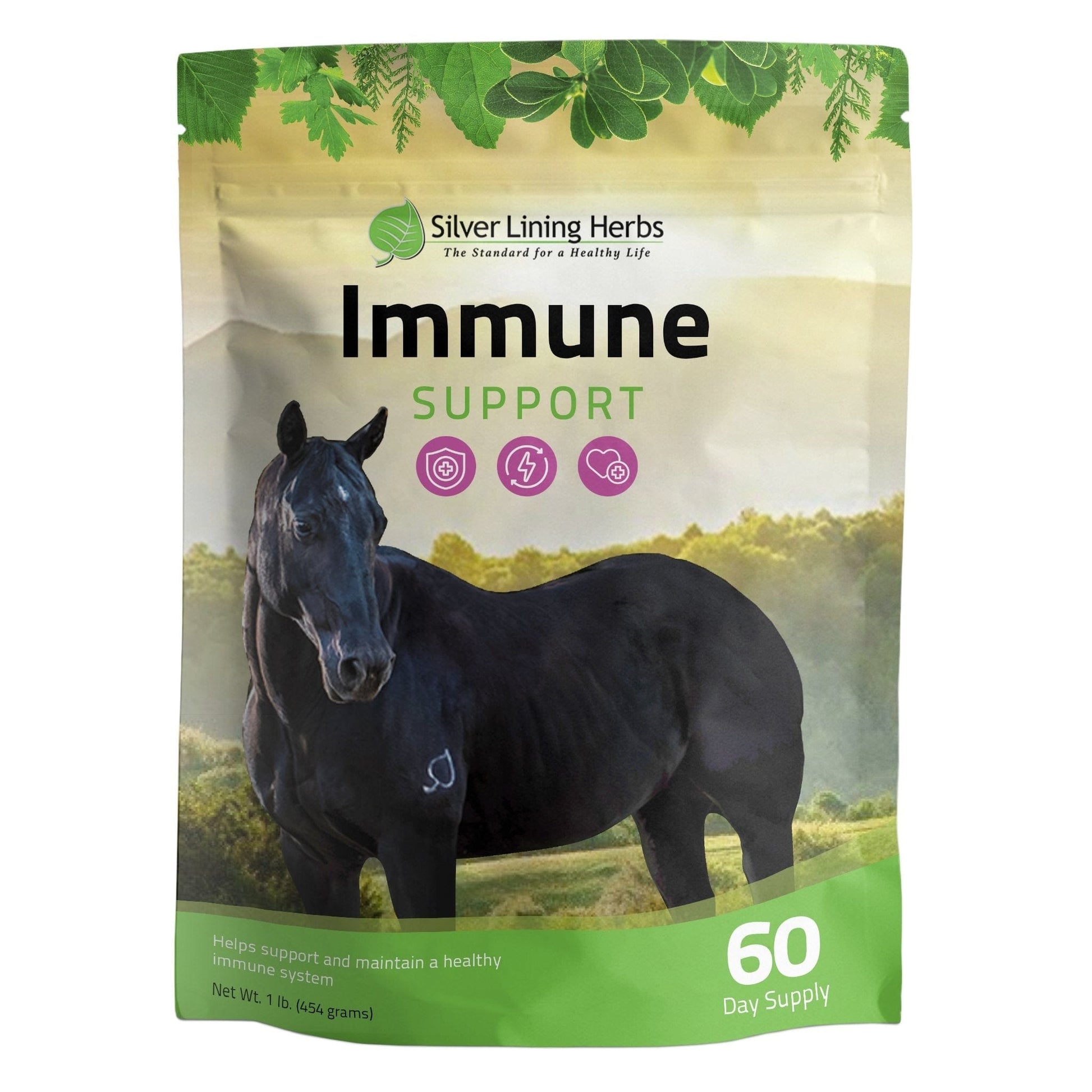 Immune Support for Horses