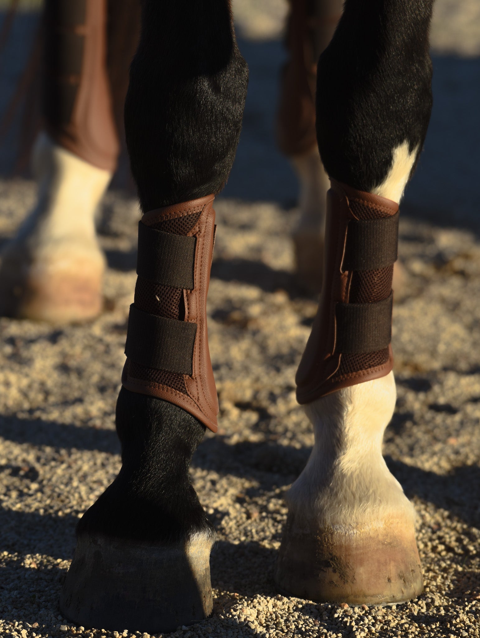 Mesh Sport Boot, Navy