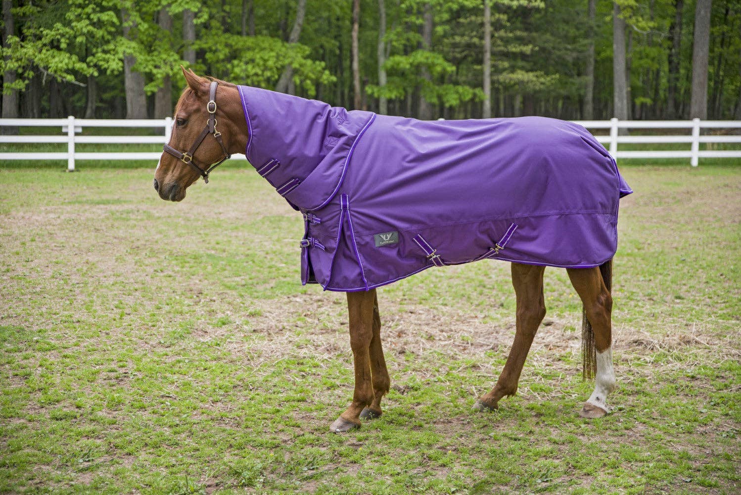 TuffRider 1680 D Super Comfy Winter Ripstop Turnout Blanket Heavy Weight 350 GSM Detachable Neck