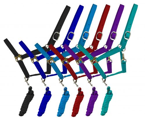 PURPLE Full Size adjustable nylon halter with 8.5FT lead