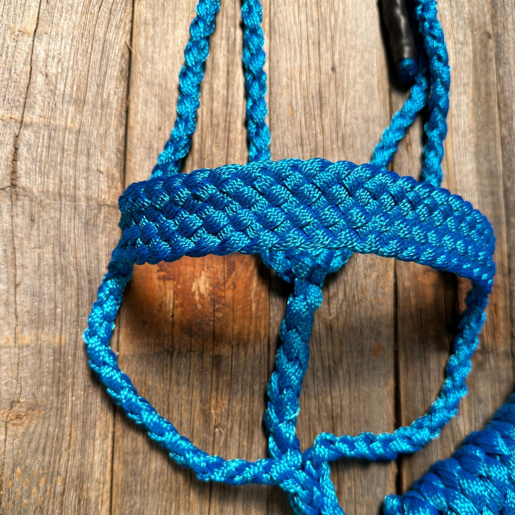 Blue Mule Tape Halter - Blazzing Bridles