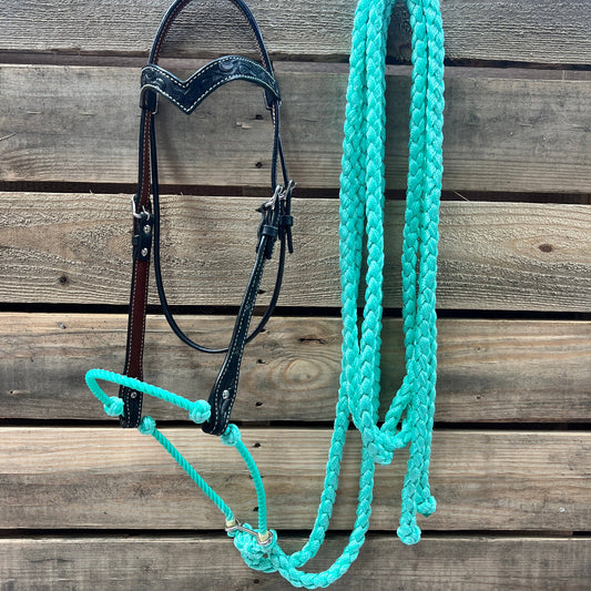 Black Floral V-Brow Seafoam Loping Hackamore