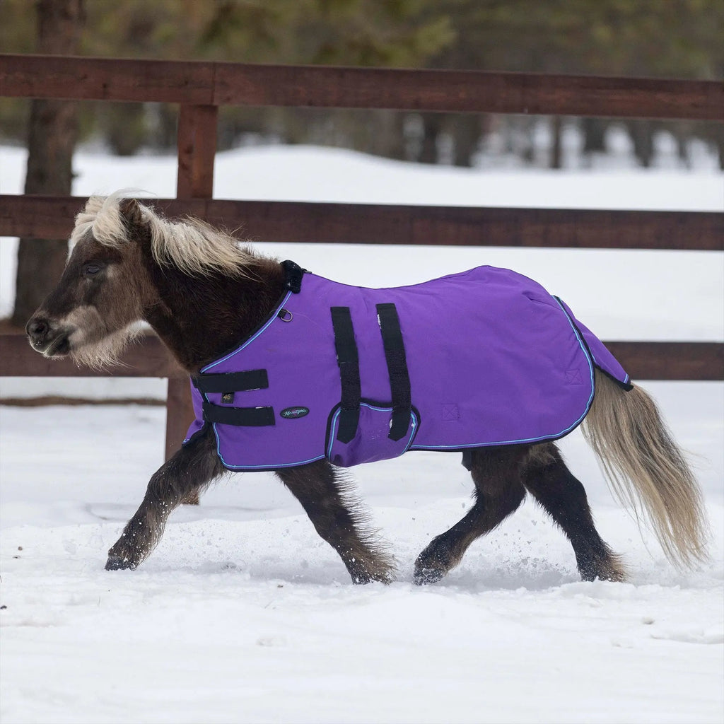 Mini 180G Medium Weight Horse Winter Turnout Blanket - Waterproof & Breathable