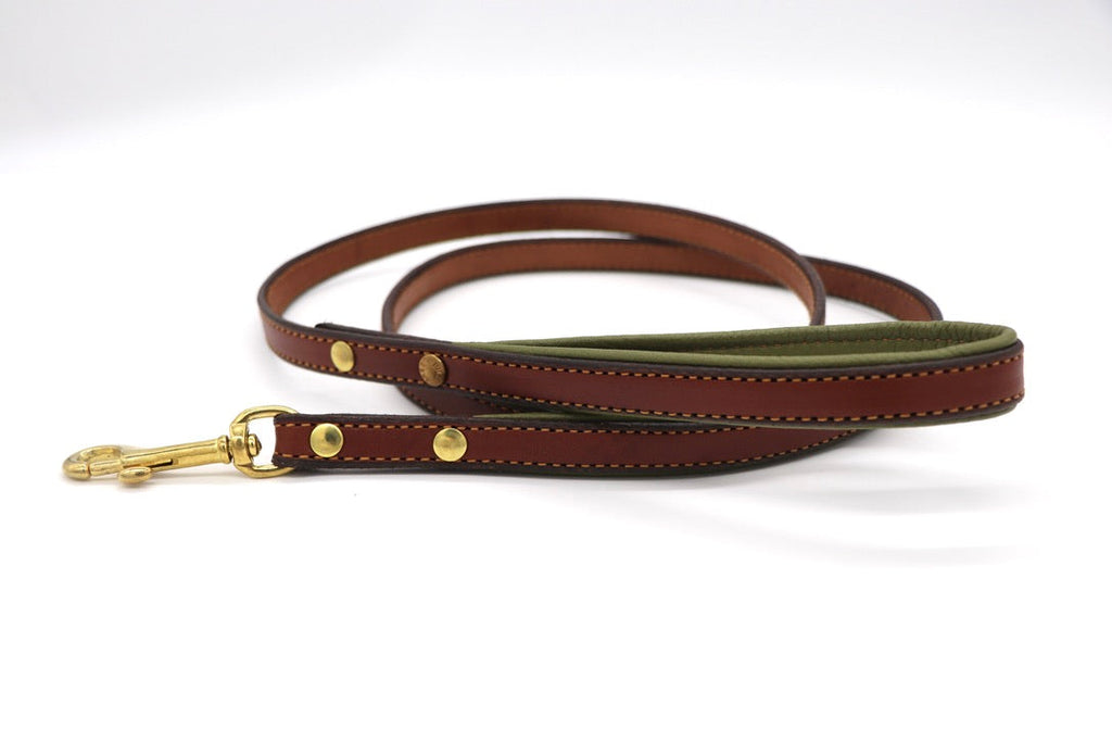 Padded Dog Leash