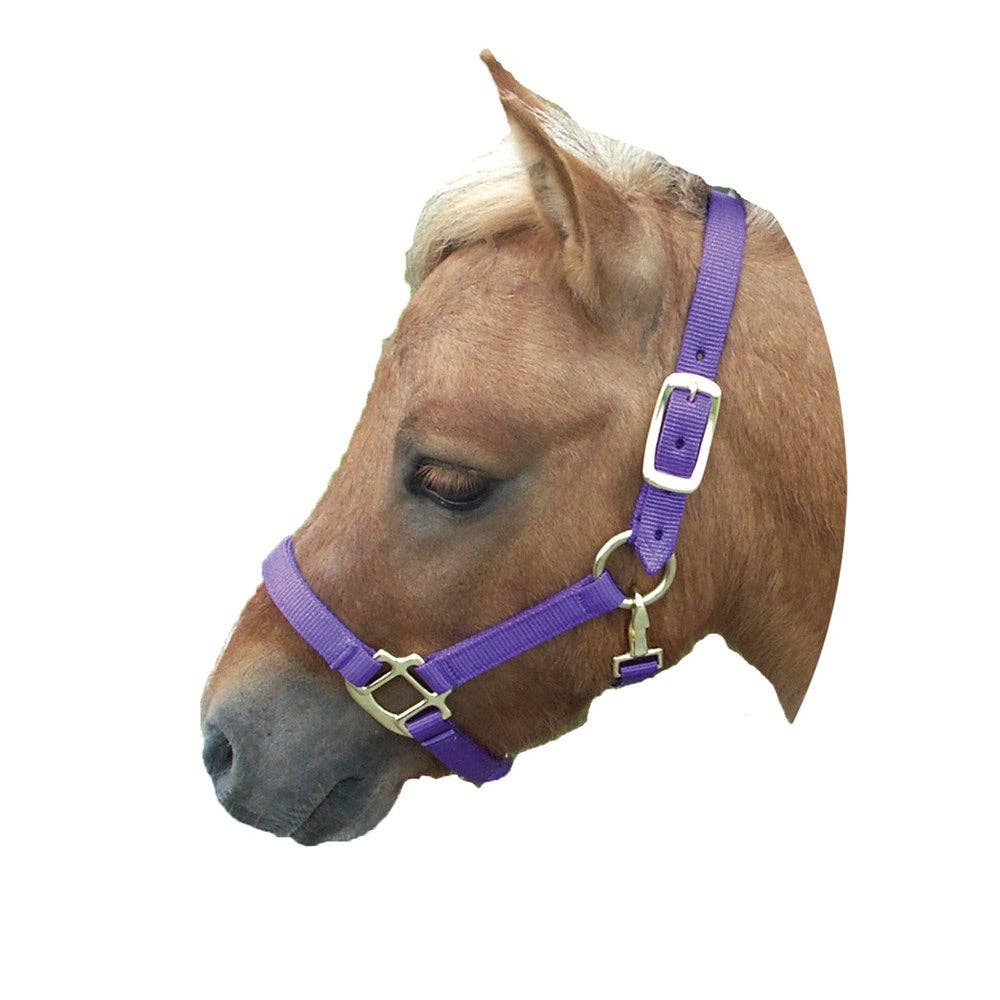 Mini Nylon Halter