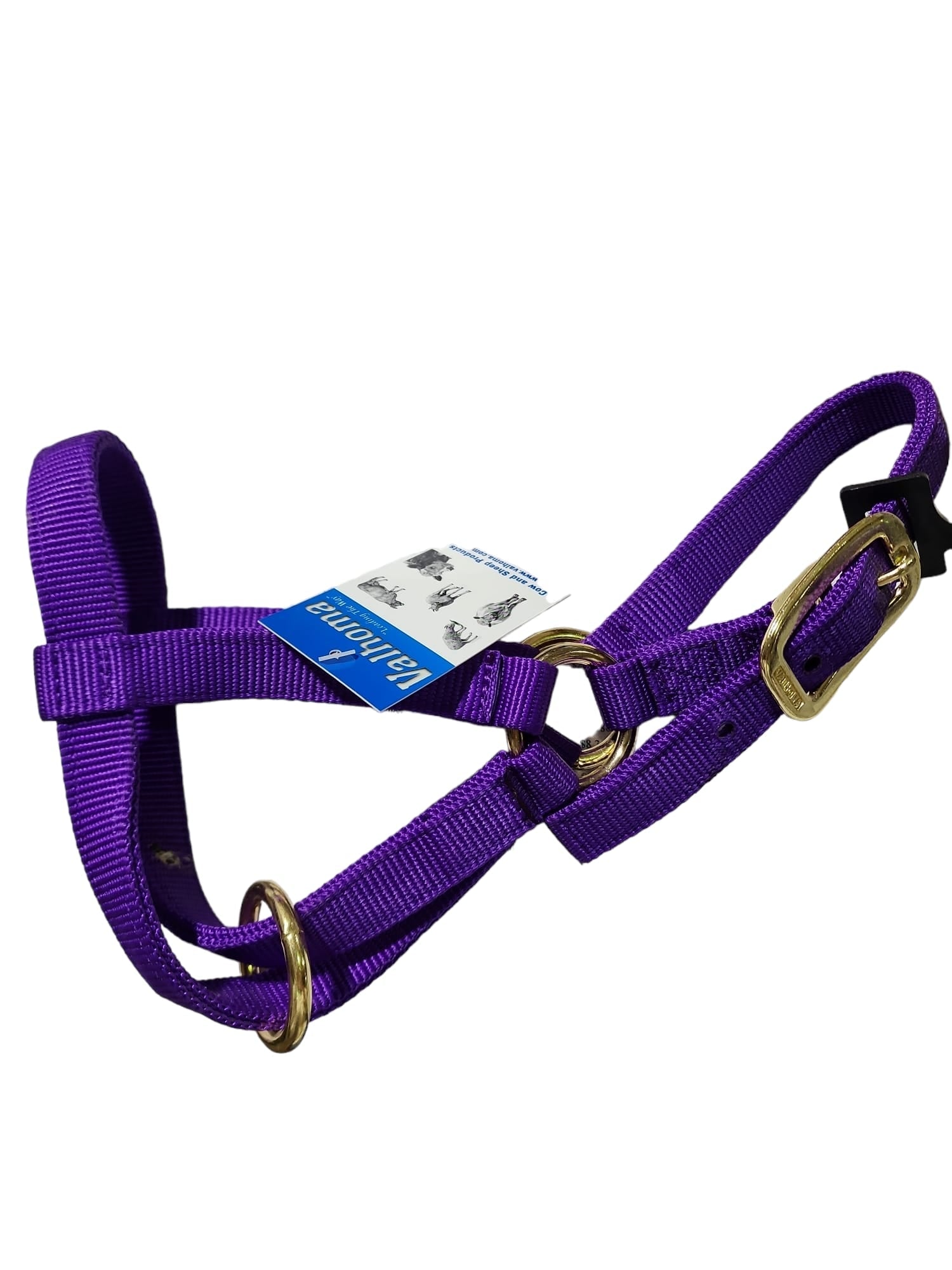 Valhoma: Halter - Goat Billy - Purple