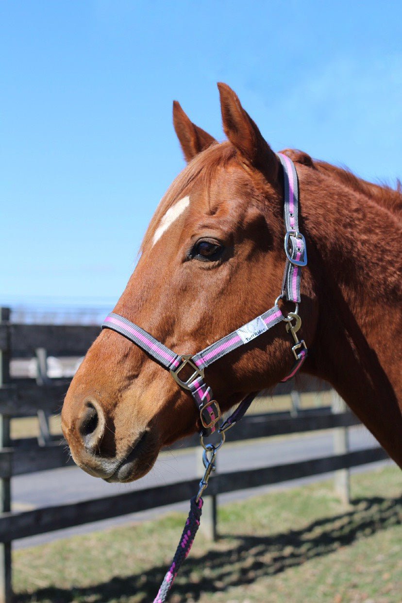 TuffRider Nylon Breakaway Halter & Lead Rope Set