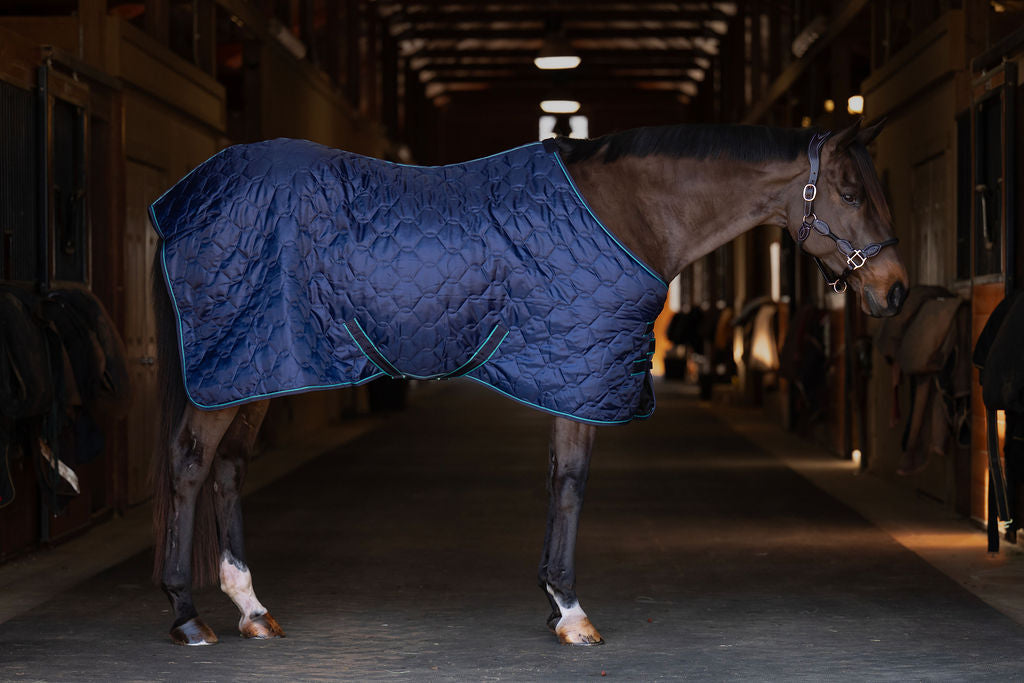 TuffRider Comfy Standard Neck Medium Weight Stable Blanket- 420D, 150GSM