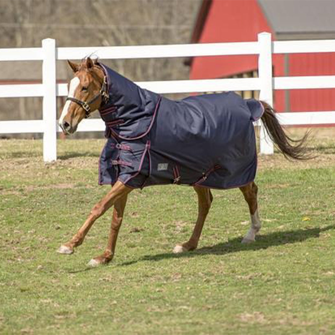 TuffRider 1200 D Winter Comfy Heavy Weight Detachable Neck Ripstop Turnout  Blanket w/ 350 GSM of fill