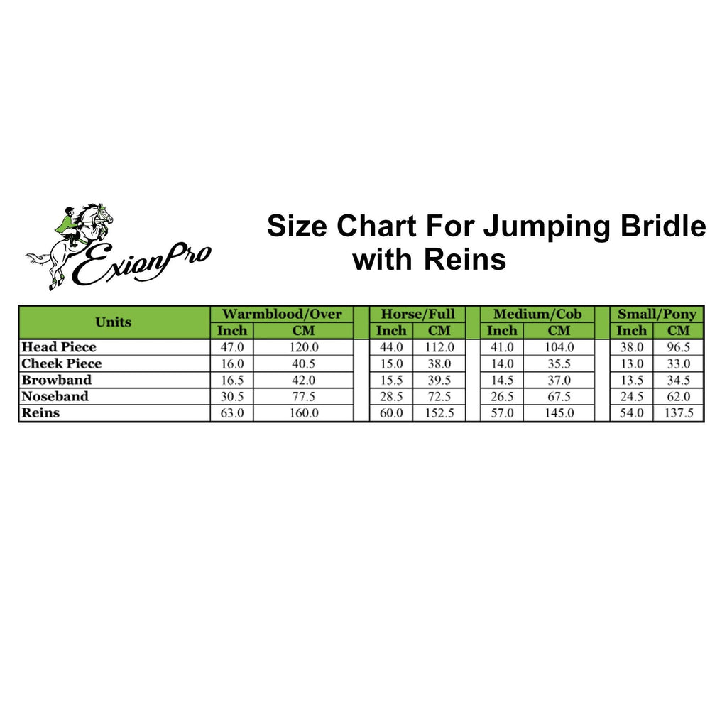 ExionPro SS Clincher Studded Bridle With Flash and Reins