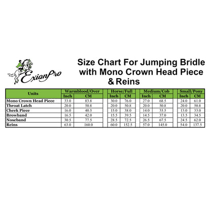 ExionPro Designer Fancy Stitched Bridle with Flash and Rubber Reins
