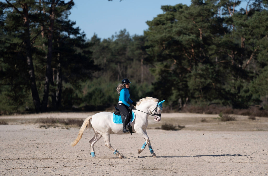 Alice Blue Saddle Pad