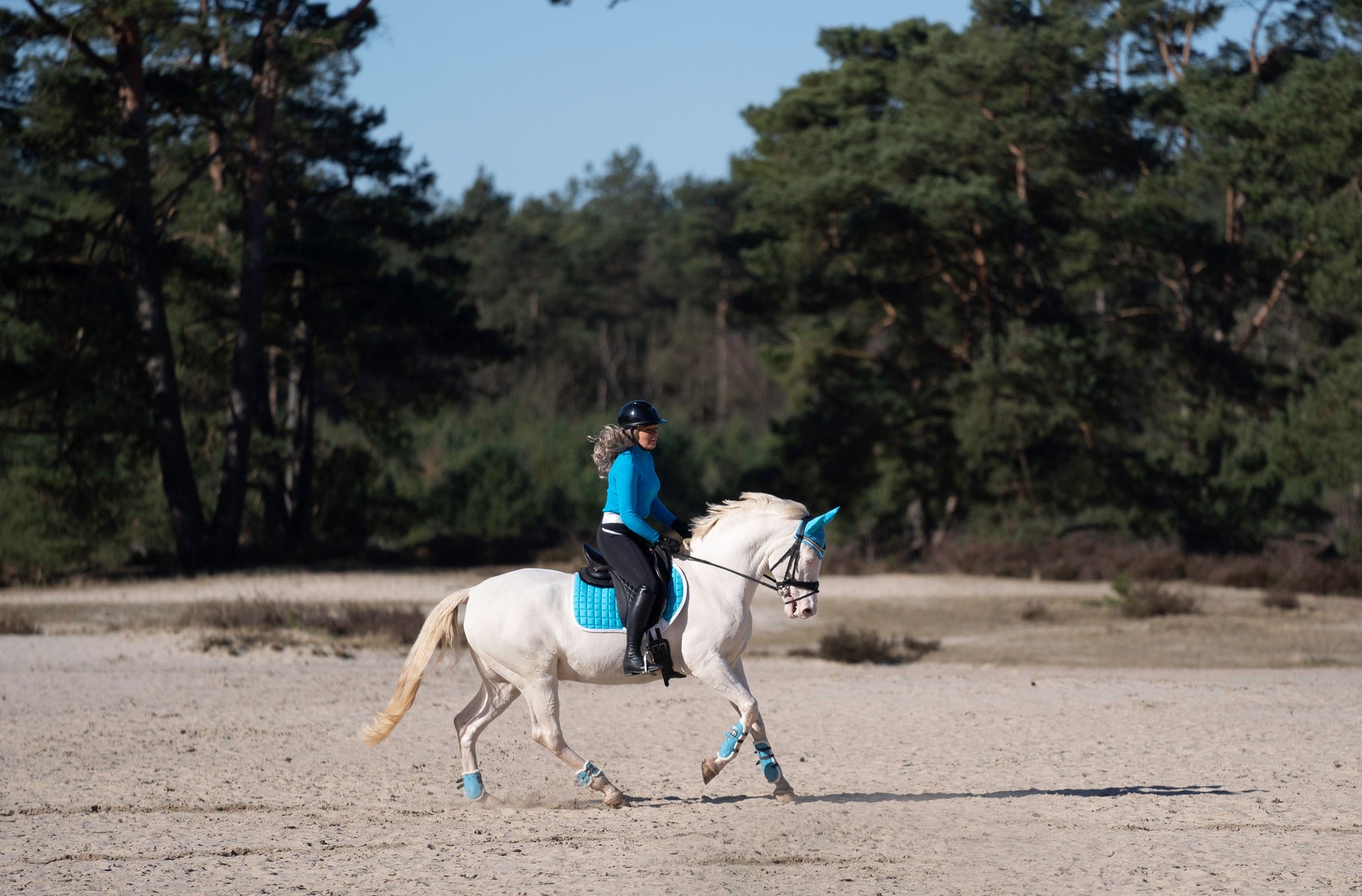 Alice Blue Saddle Pad