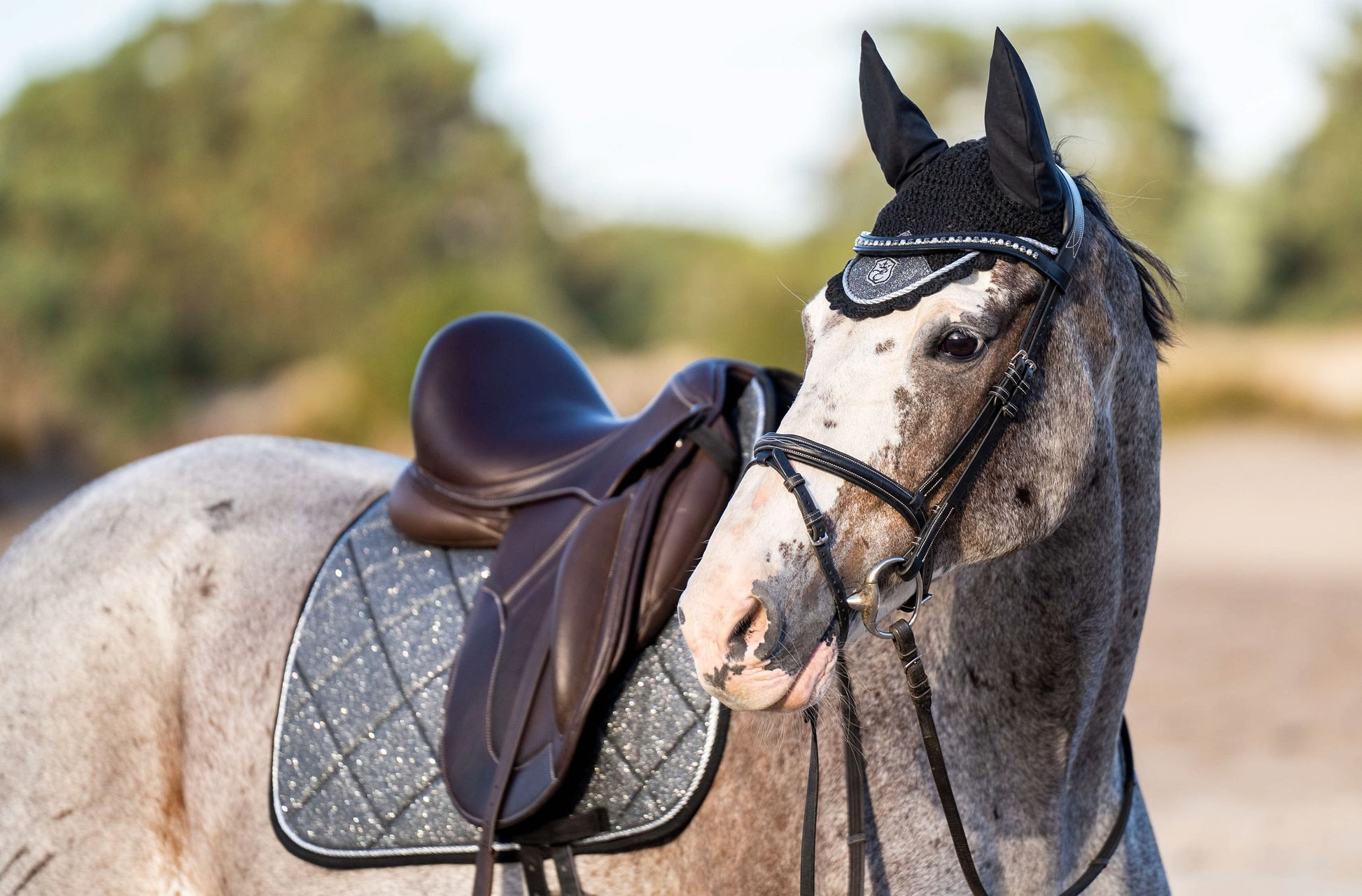 Stardust Grey Saddle Pad Set