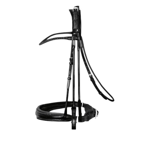 Passier Highscore Double Bridle