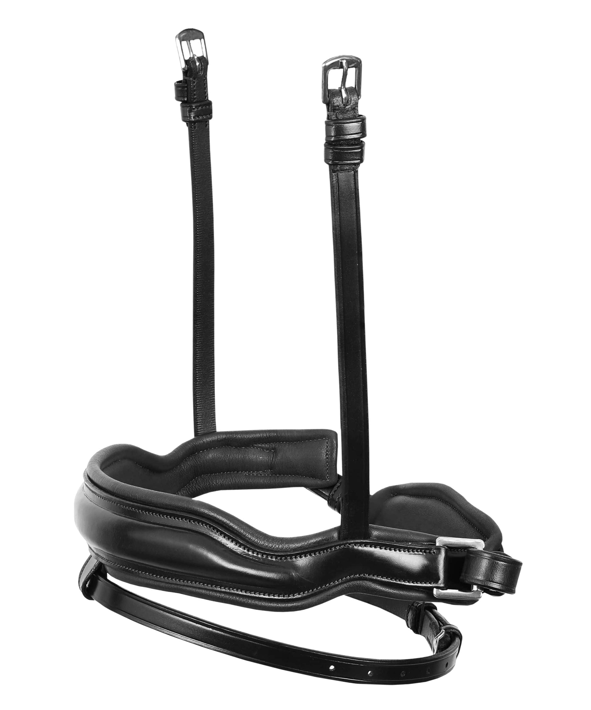 ExionPro 'Leo' Classic Dressage Bridle with Reins