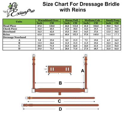 ExionPro Pressure Relief Crown Dressage Bridle with Web Reins