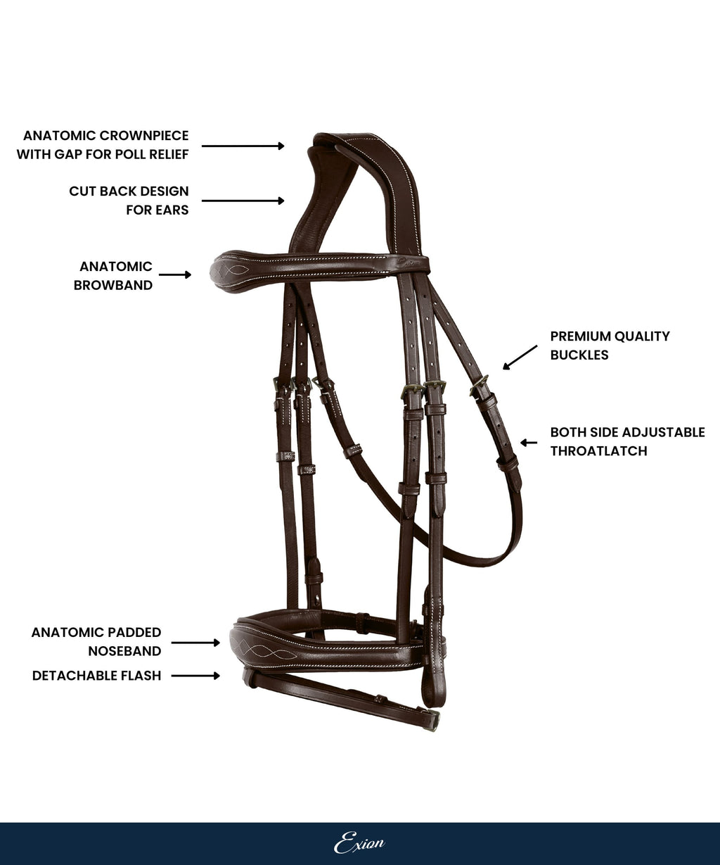 ExionPro 'Perseus' Anatomical Jumping Bridle with Reins