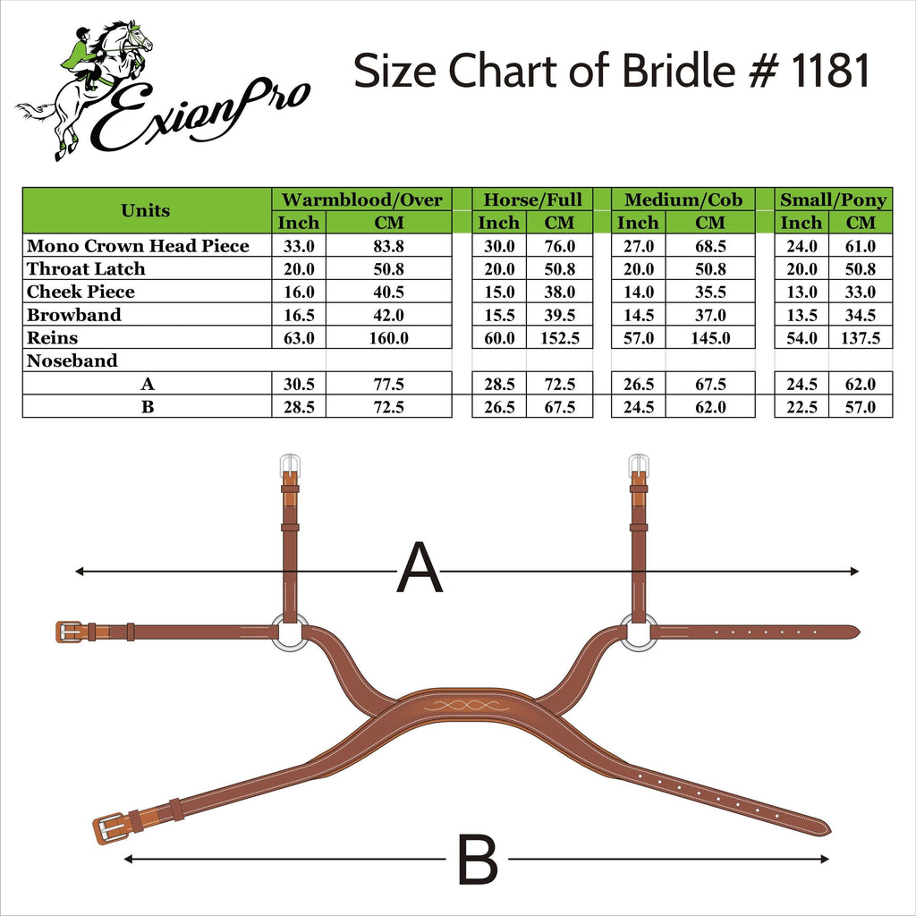 Replacement Noseband of ExionPro Anatomical Combined Flash Bridle with Reins