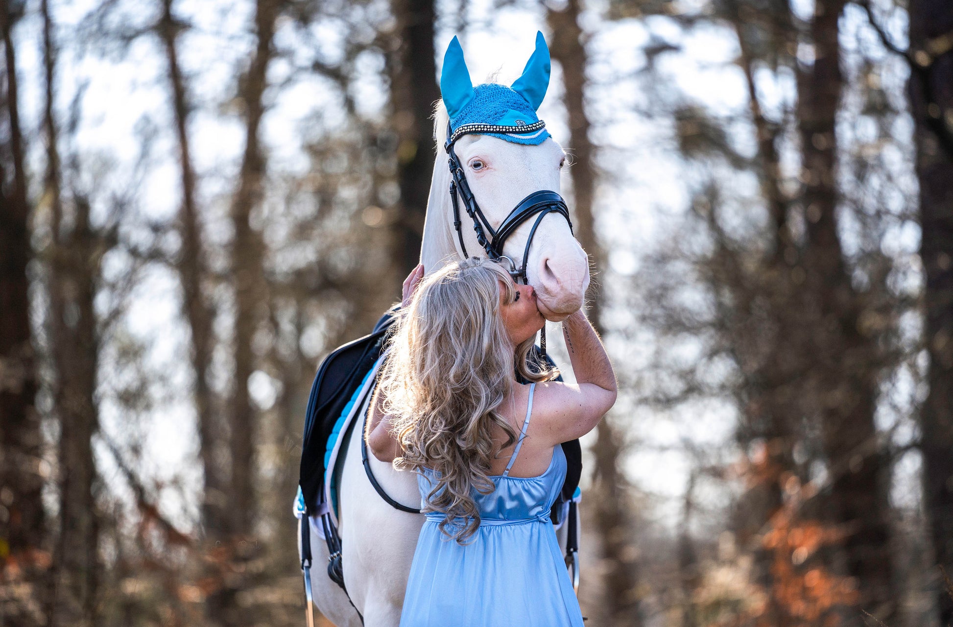 Alice Blue Fly Hat