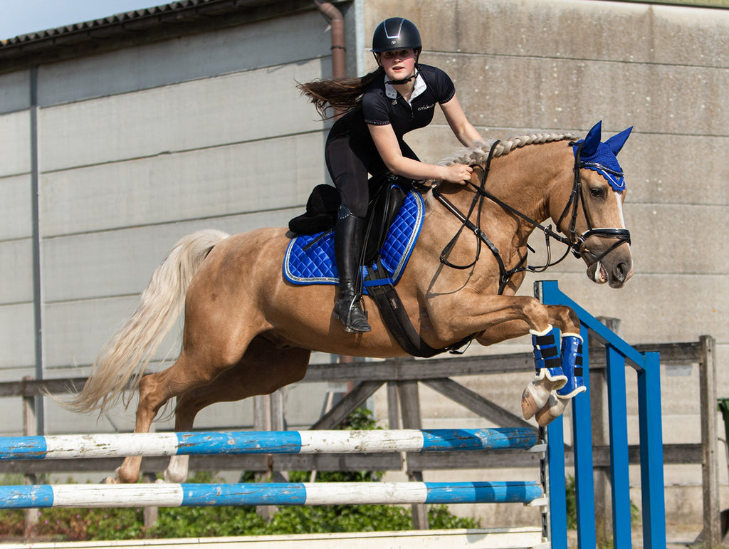 Majorelle Blue Saddle Pad