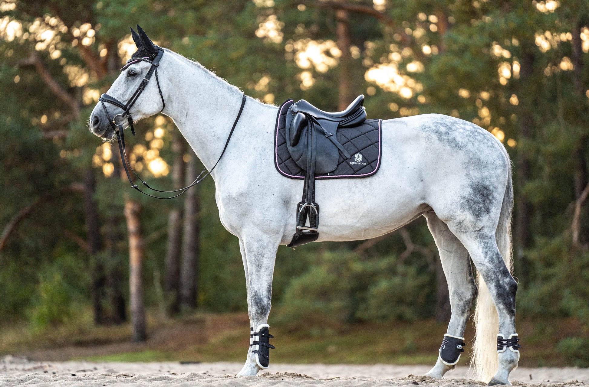 Midnight Black Saddle Pad Set