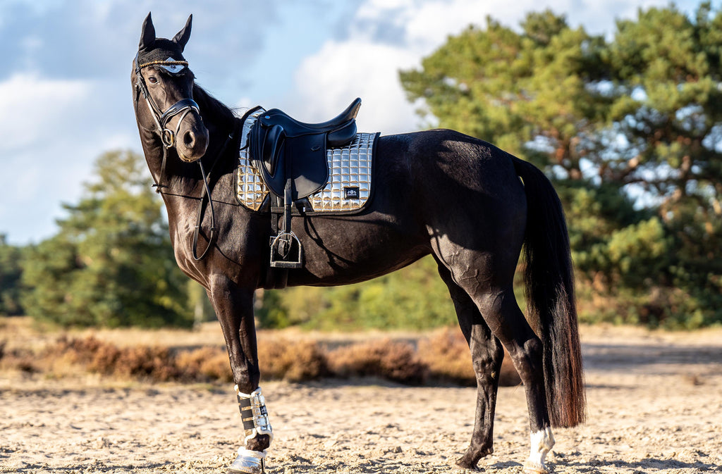 Aurum Saddle Pad