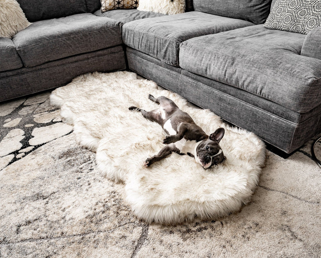 PupRug® Runner Faux Fur Memory Foam Dog Bed - Curve White with Brown Accents