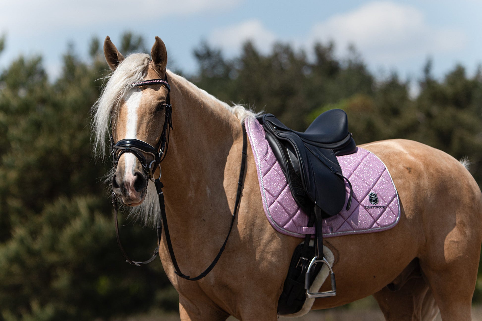 Pink Mist Saddle Pad