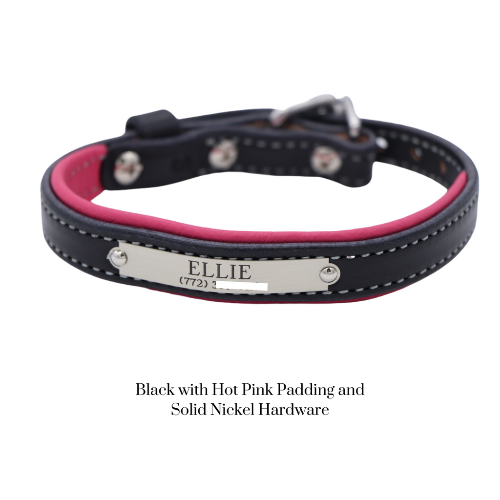 Padded Dog Collar