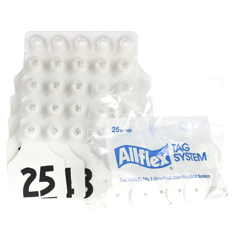 ALLFLEX: LARGE - FEM/SM - GREEN - 51-75