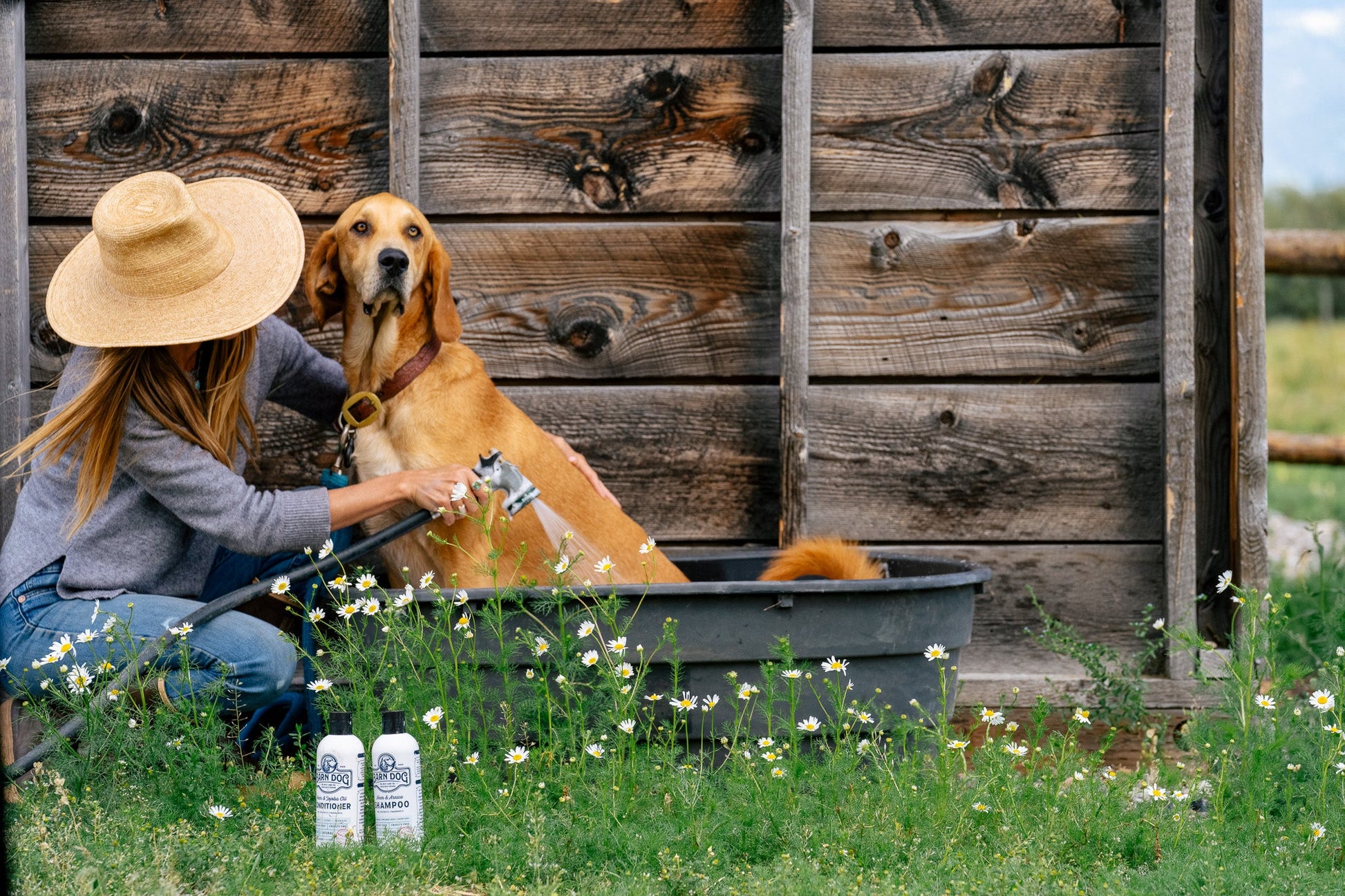 Barn Dog Shampoo