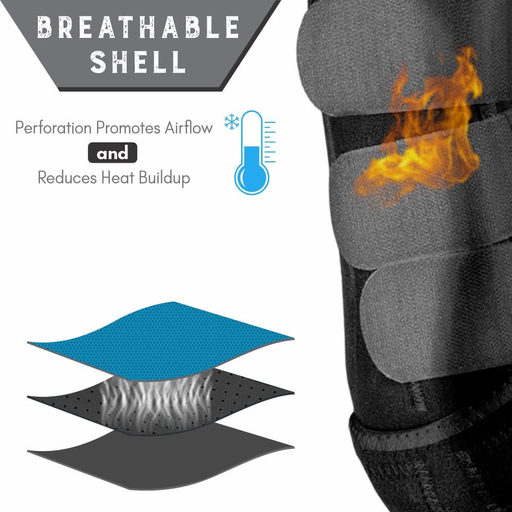 HILASON Horse Front Leg Neoprene Shock Absorbing Sport Boot Comfortable Fit