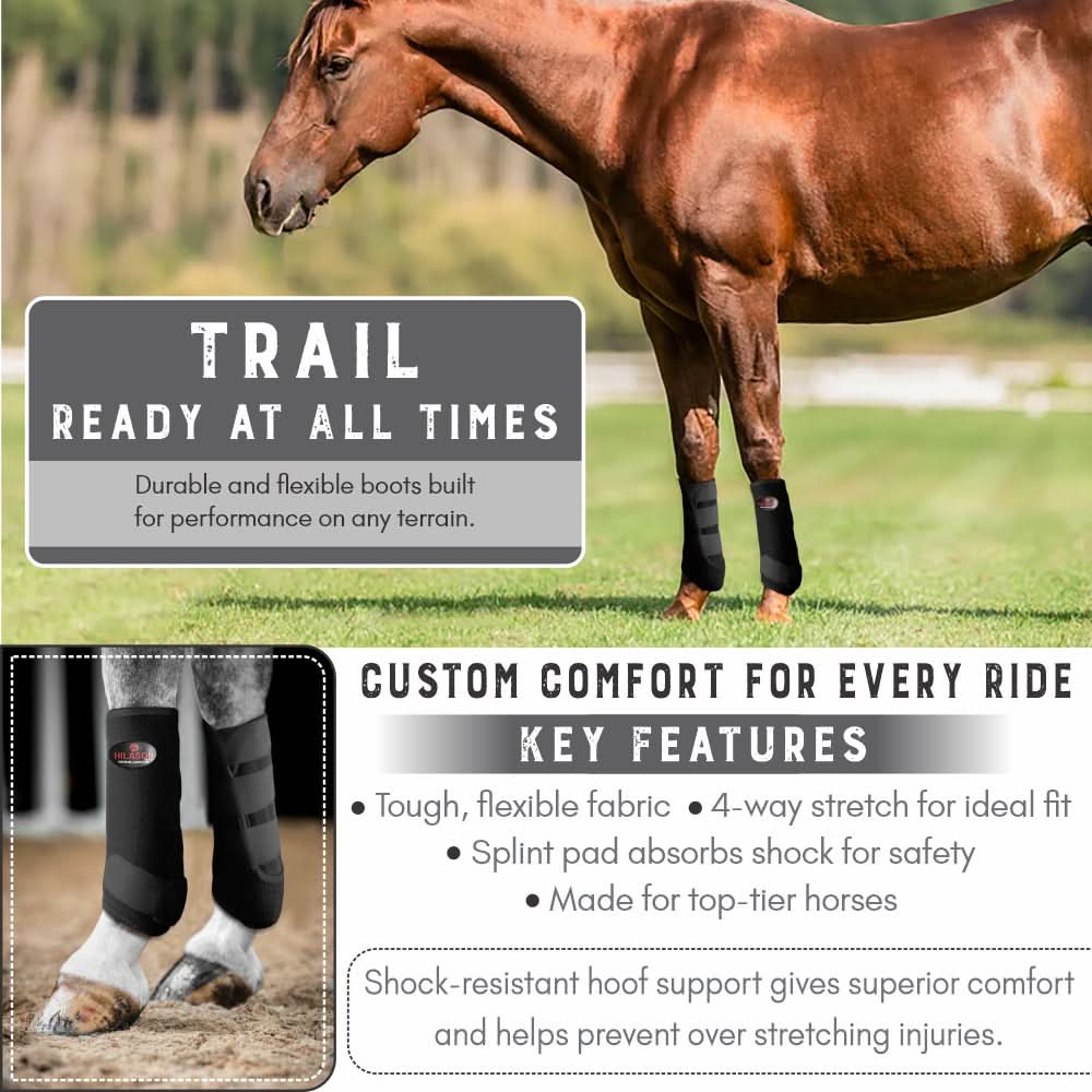 HILASON Horse Front Leg Neoprene Shock Absorbing Sport Boot Comfortable Fit